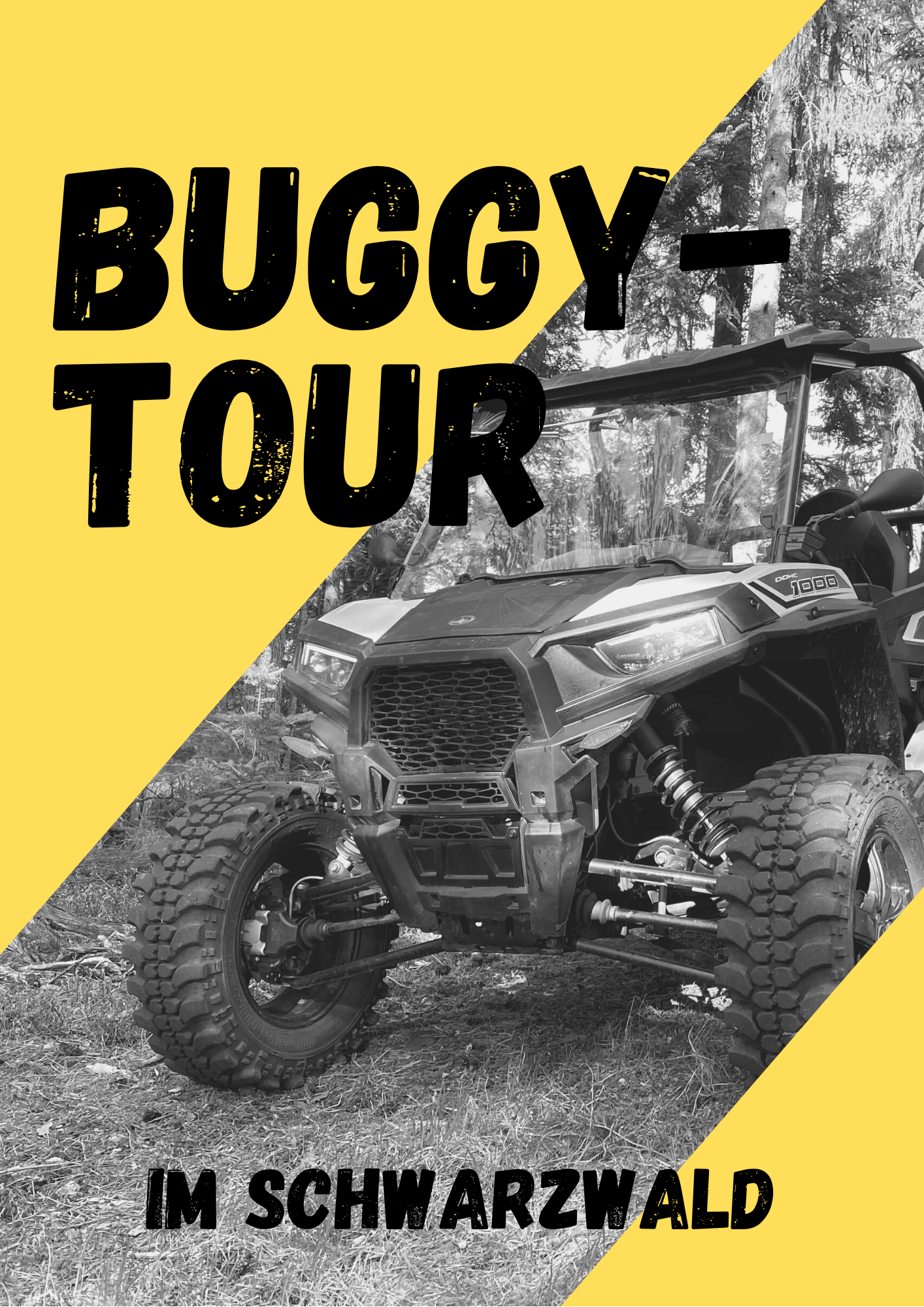 Buggy Tour(1)